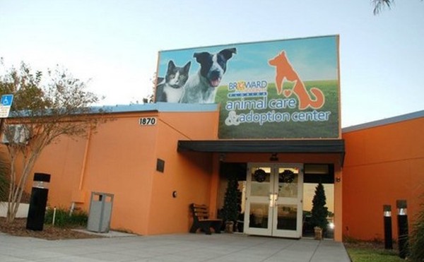 Broward County Animal Care