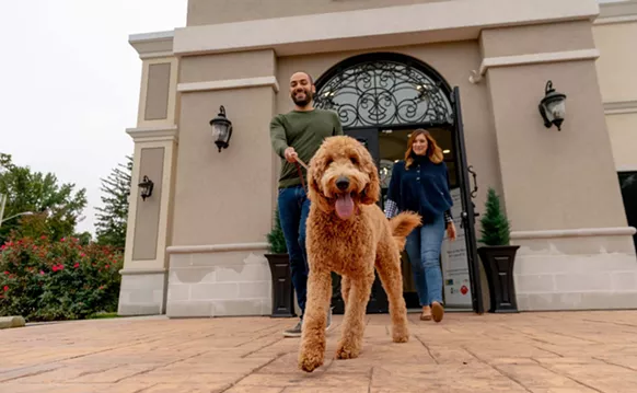 Image: "The Ritz Carlton for Dogs" Opens in Pompano Beach