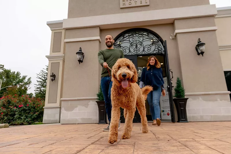Image: At K9 Resorts, suites include luxury bedding and even a "sound-resistant environment."