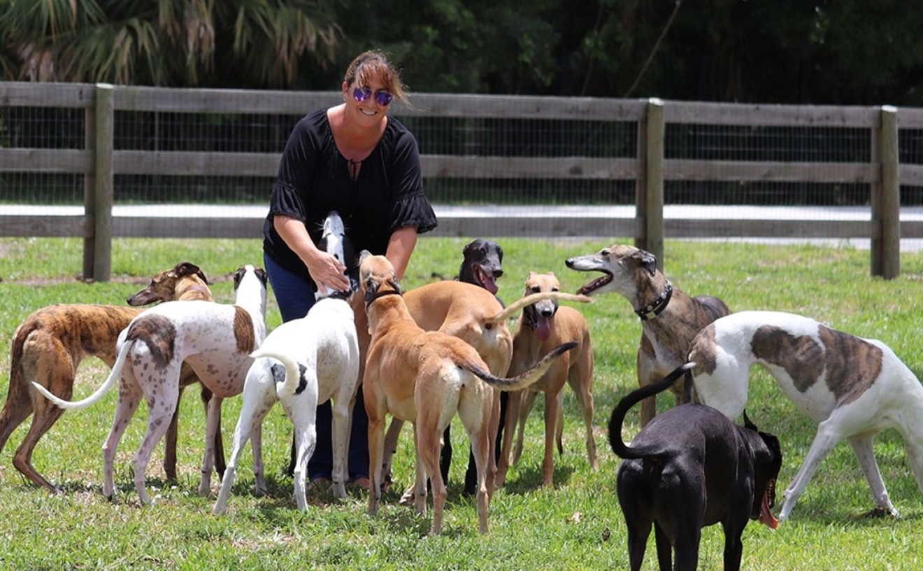 Owner of Greyhound Adoption Agency Details Abuses of Dogs at Palm Beach Kennel Club