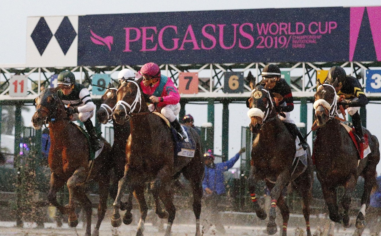 Pegasus World Cup Is as Much About Partying as Racing