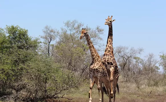 Image: Pornhub is Now Banned in Florida. There's a Way Around It.