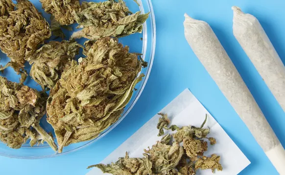 Image: Reefer Registry: Guide to Miami-Dade, Broward, and Palm Beach Marijuana Dispensaries