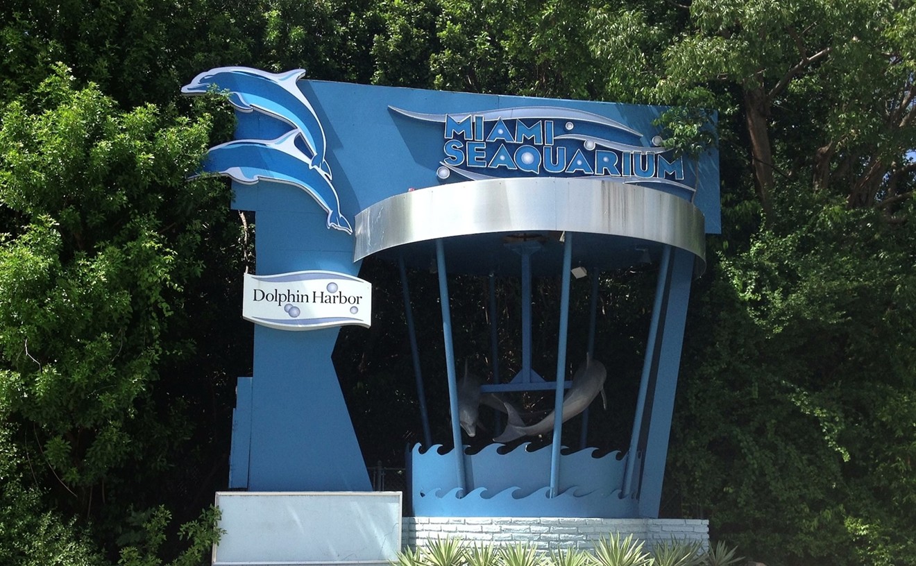 Miami Seaquarium Is City's Saddest Attraction