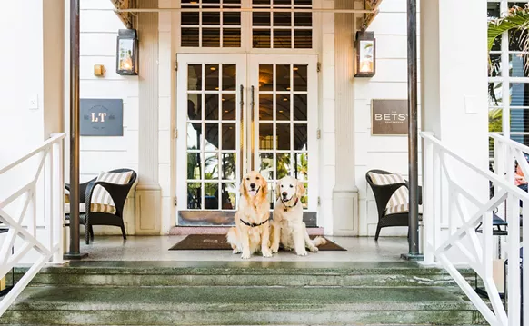 Image: The Best Pet-Friendly Hotels in South Florida