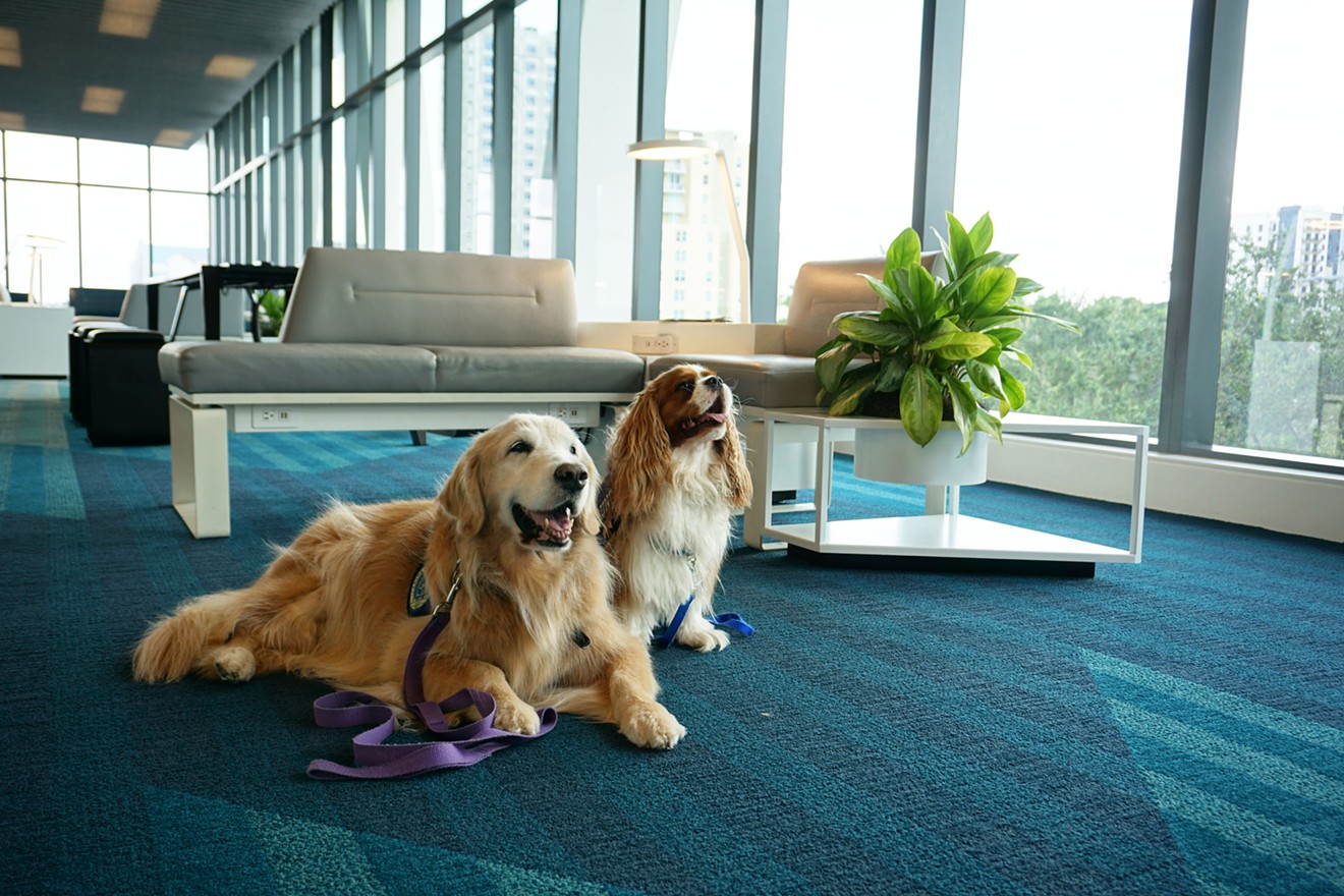 Pet adorable therapy dogs at Brightline's Fort Lauderdale and West Palm Beach stations Thursday.