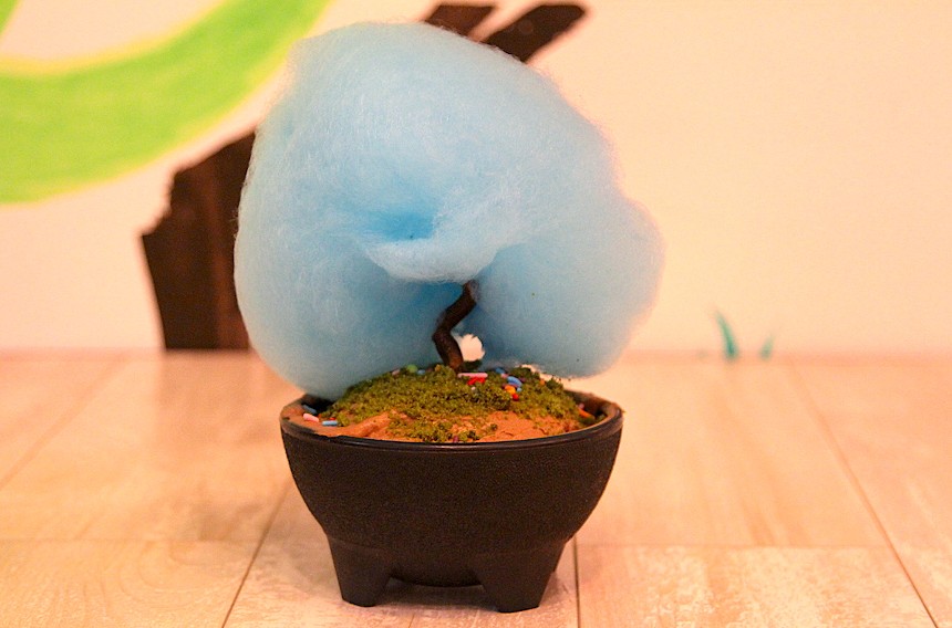 Every part of this mini bonsai tree dessert is edible. - PHOTO BY NICOLE DANNA