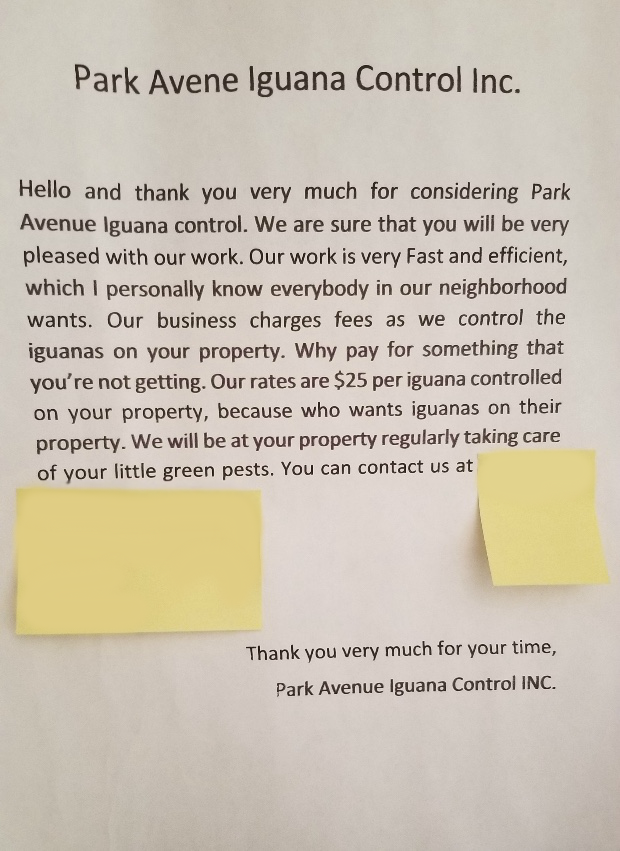 A flyer advertises iguana-extermination services. - READER-SUBMITTED PHOTO