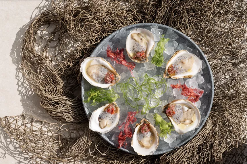 Where to Find Oysters in Miami and Fort Lauderdale New Times Broward