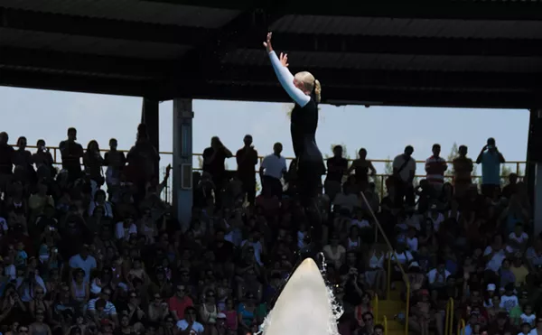 Indianapolis Colts Owner Jim Irsay Ponies Up to Free Lolita the Orca (UPDATED)