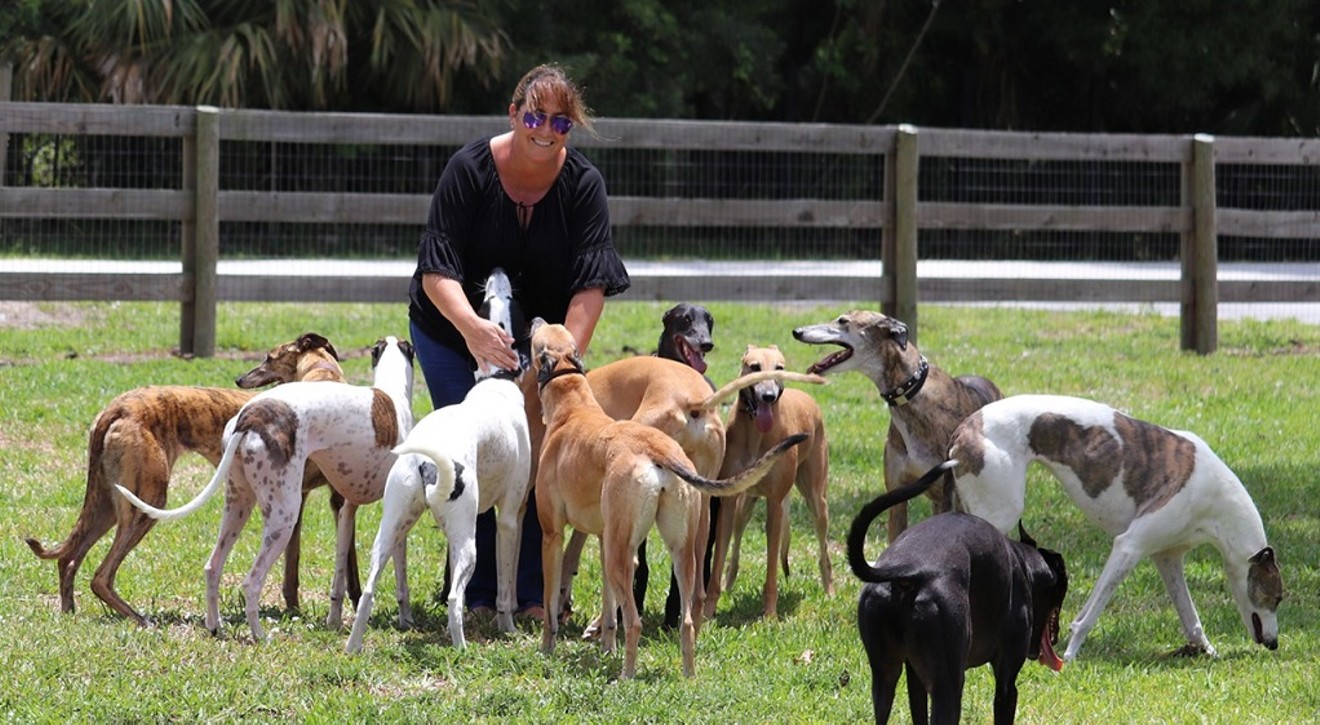 Sonia Stratemann, owner of Elite Greyhound Adoptions.