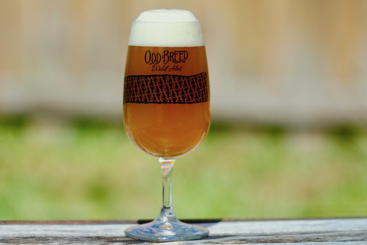 Odd Breed Wild Ales will be the first South Florida brewery to offer online bottle-release sales.